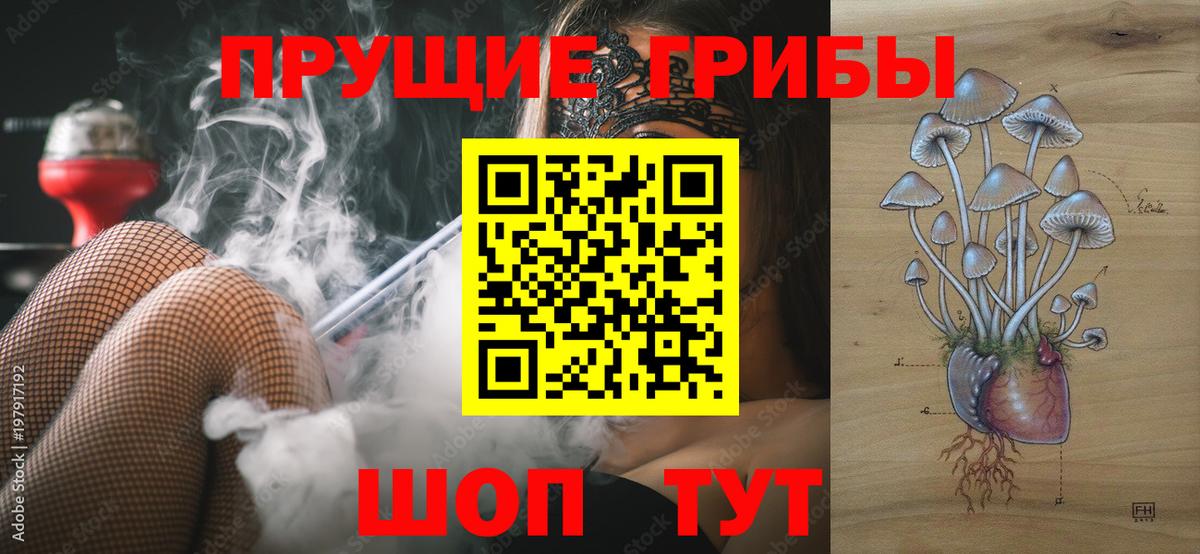 Псилоцибиновые грибы Psilocybine cubensis Ханты-Мансийск
